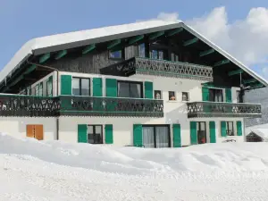 Chalet Fleur des Alpes 1