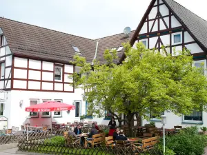 Hotel & Restaurant - Gasthaus Brandner