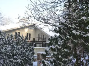 偉帕霍夫住宿加早餐旅館