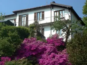 B&B Al Mutpron