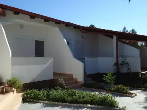 Pansion Comfort Sidro