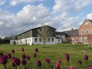 Kiekutsland