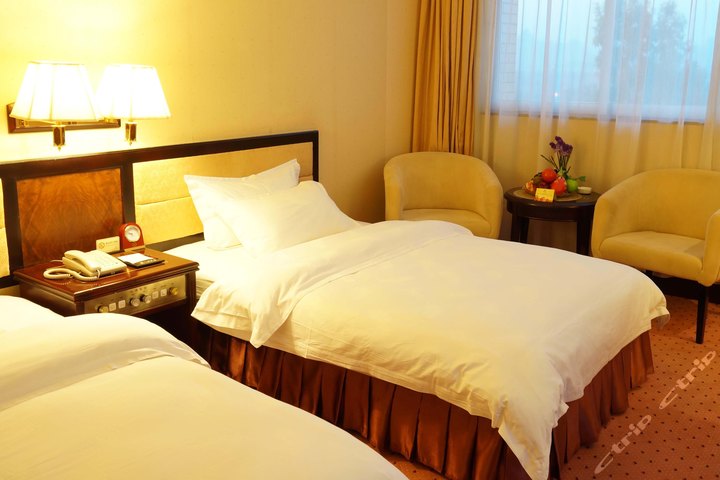 连州红楼宾馆-豪华双人房(预付)