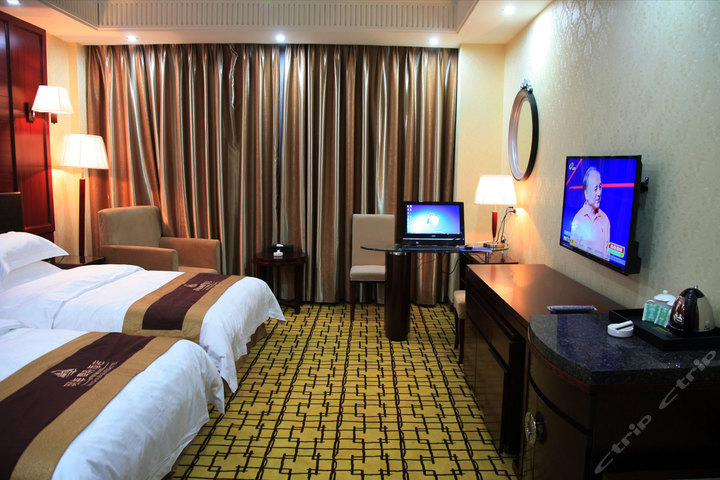 林芝明海大酒店-豪华标间