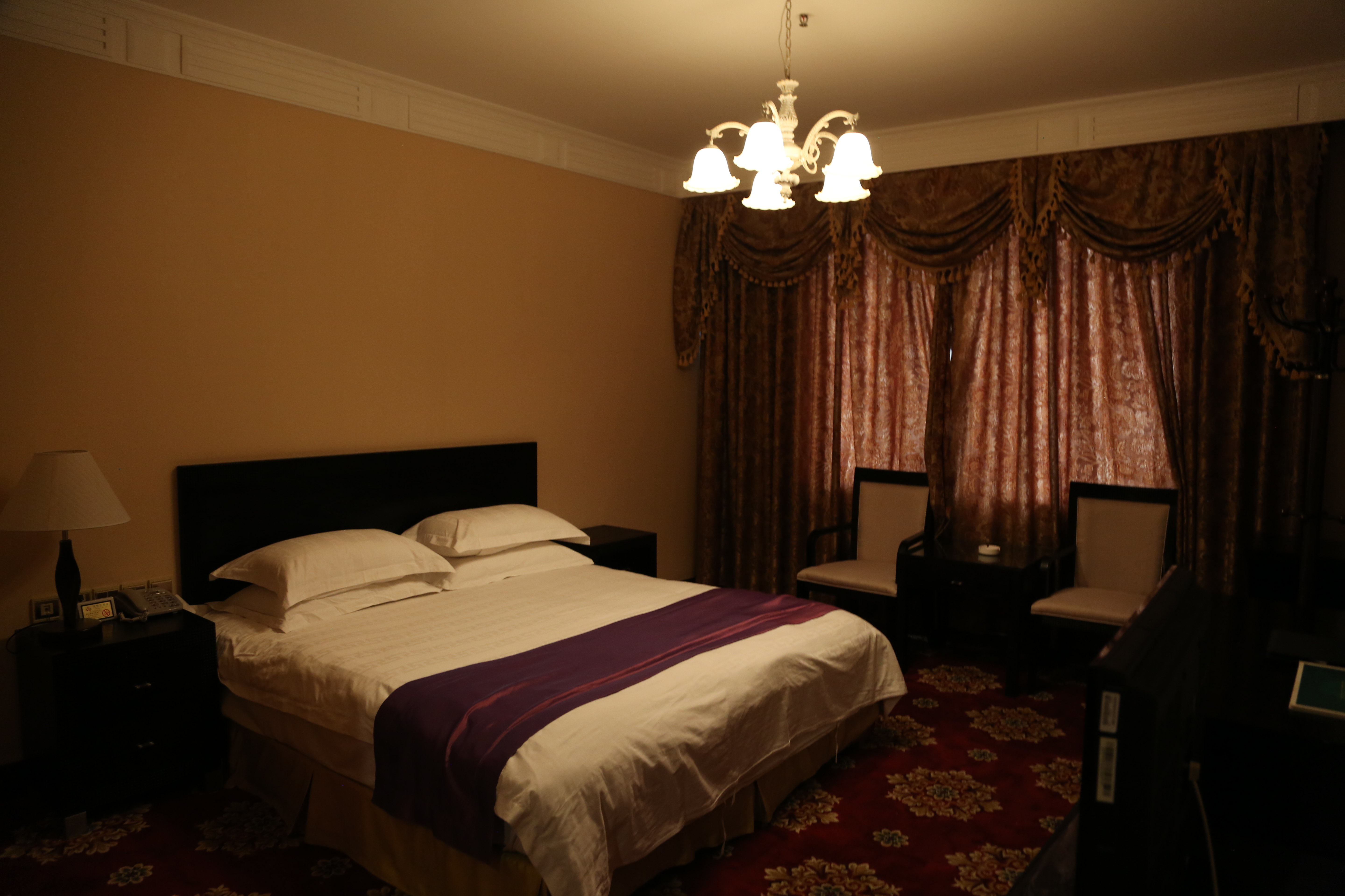 林芝香帕拉酒店(豪华单间)