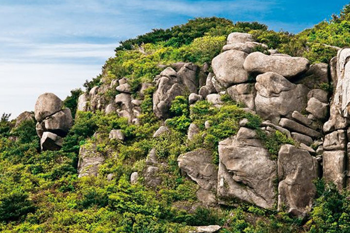 大青山国家森林公园