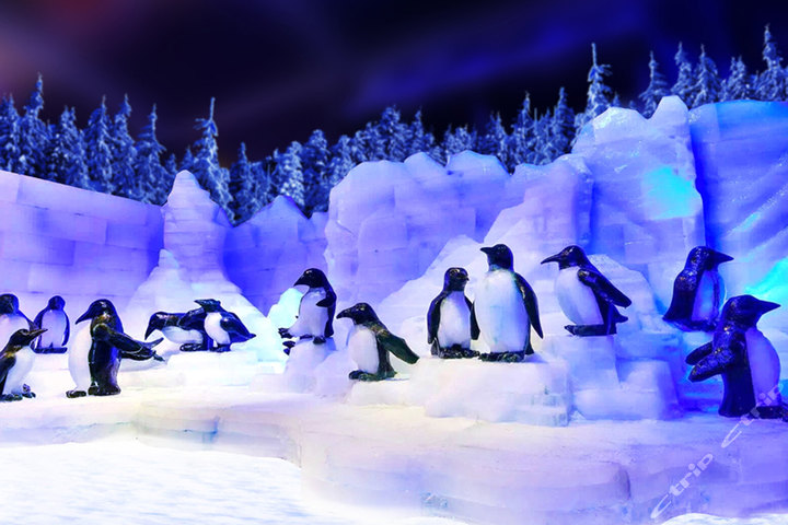 奇幻冰世界迪士尼《冰雪奇缘》特展-优待票