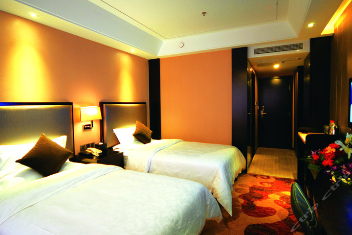 林芝岷山大酒店-高级标间