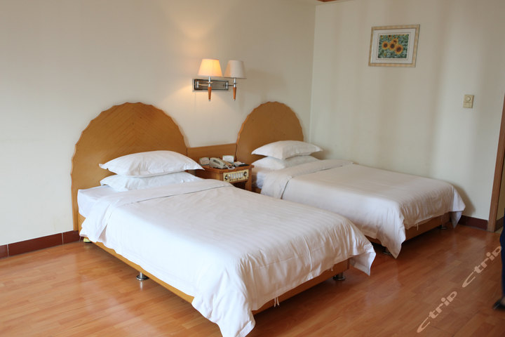 海南椰海大酒店-高级双人房团购-原价0元-团购仅售326元,海口酒店团购