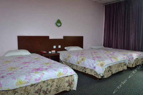 泰安美丽园宾馆(三人间)