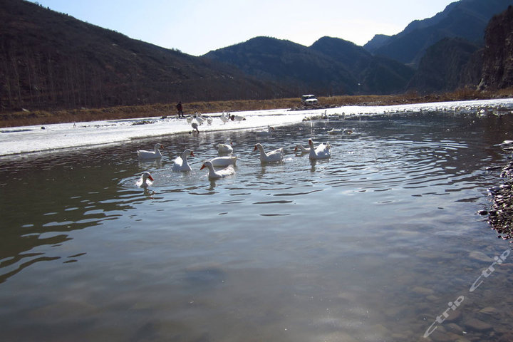 北京怀柔白河漂流图片