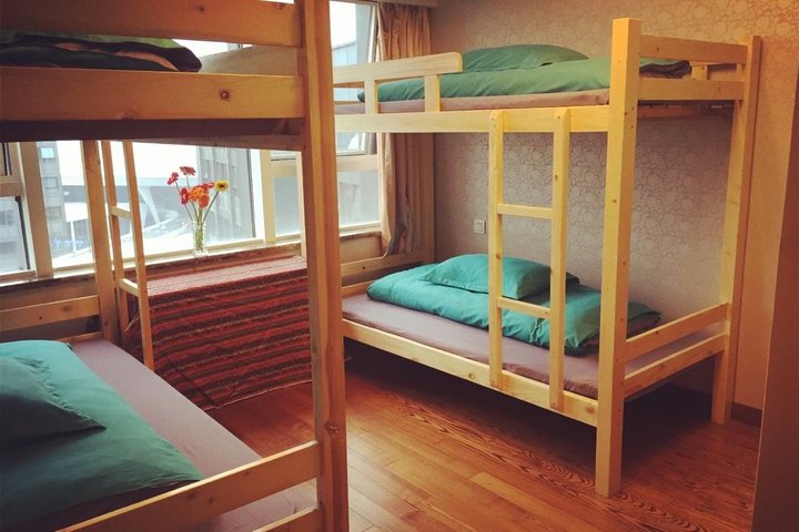 dr真爱青年旅舍