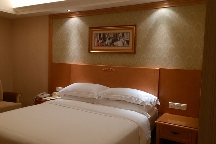 维也纳国际酒店(深圳北站店)