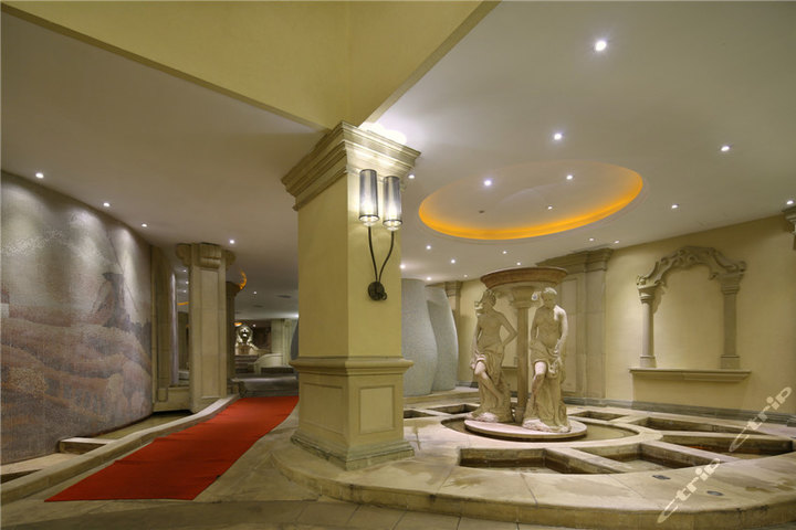 广州九龙湖公主酒店 龙泉水疗馆游泳票