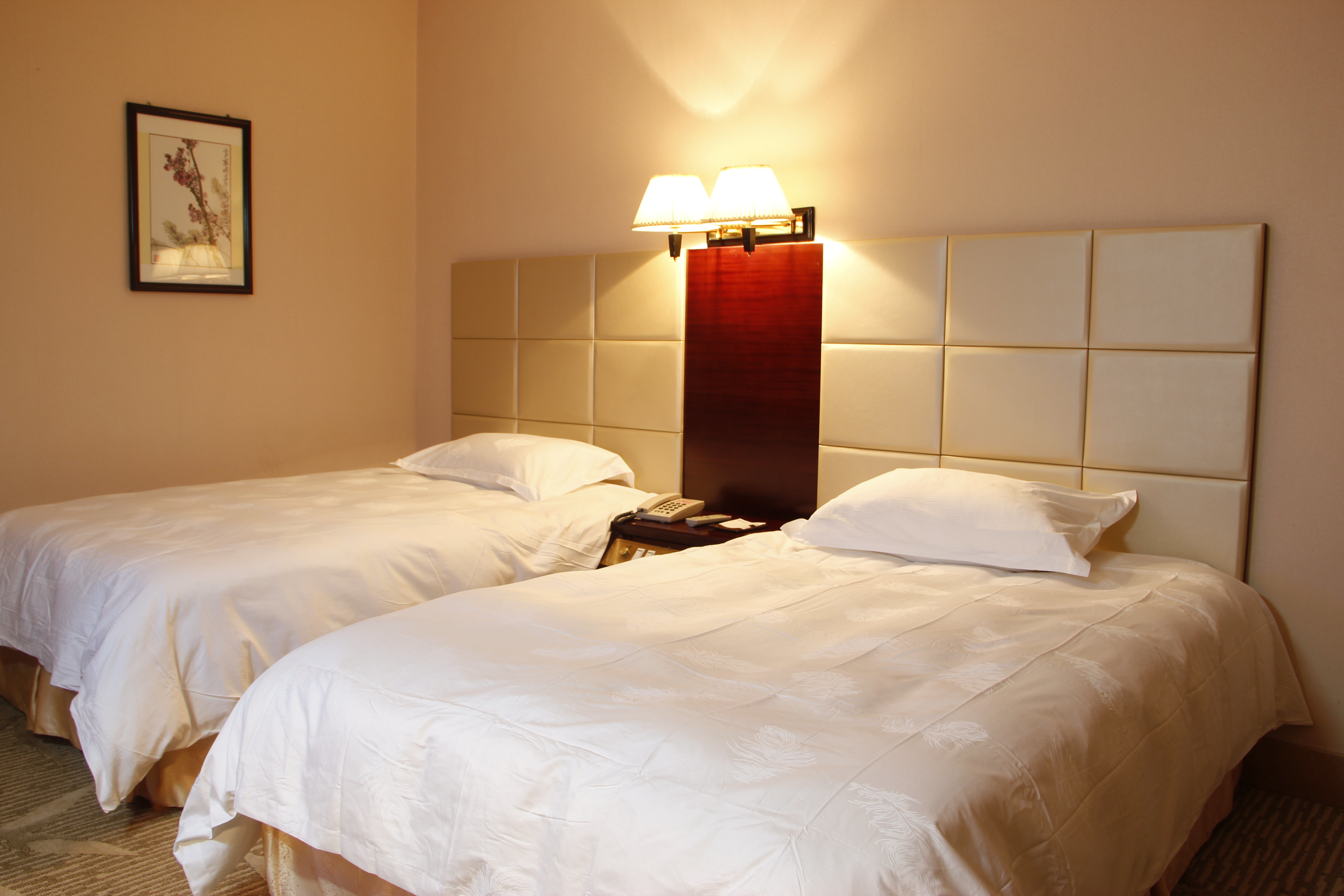 郴州苏仙宾馆-标准双人房[含早]