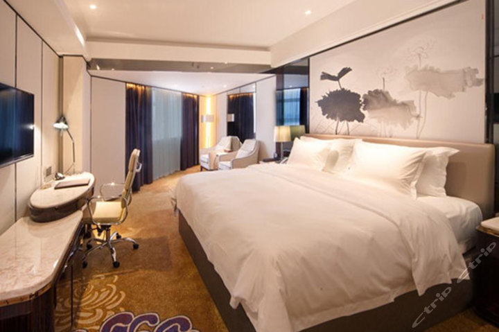 南宁国宾美景养生酒店-豪华单人间(预付)