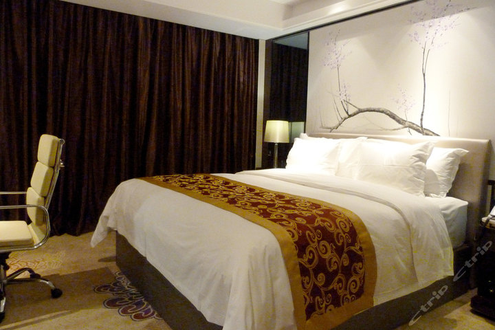 南宁国宾美景养生酒店-高级单人间