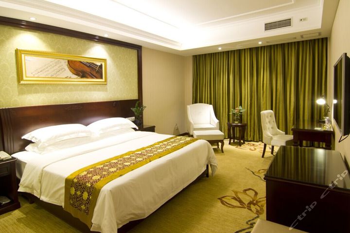 维也纳酒店-主题水床房[含早]