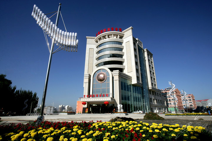 张家口艺海国际商务酒店-豪华标准房