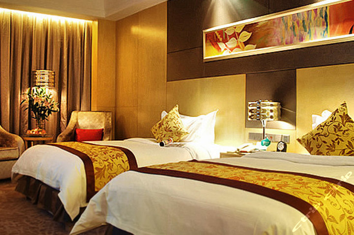 广元天成大酒店-豪华双床房