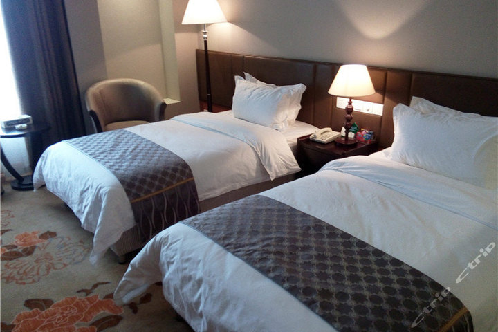成都锦城湖酒店-豪华标间[无早]