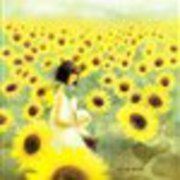 几月份去长白山最好?