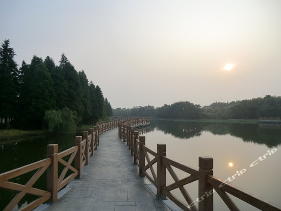 新浜镇胡曹路699弄100号