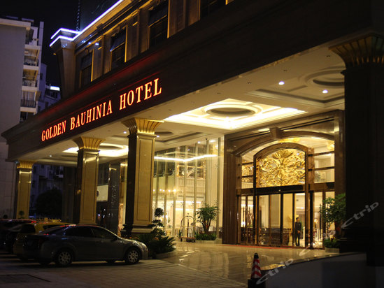 南宁酒店 青秀区 南宁金紫荆国际大酒店 南宁金紫荆国际大酒店图片 >