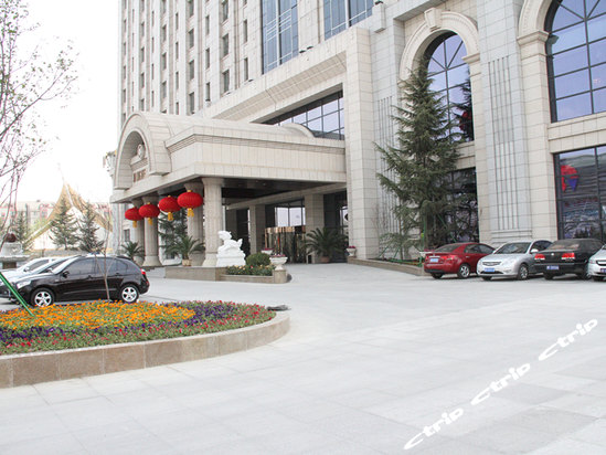 锦龙国际酒店地址图片