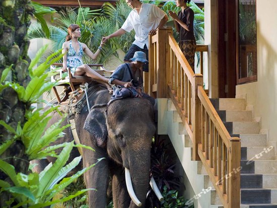 elephant safari park lodge hotel bali(巴厘岛大象公园酒店)