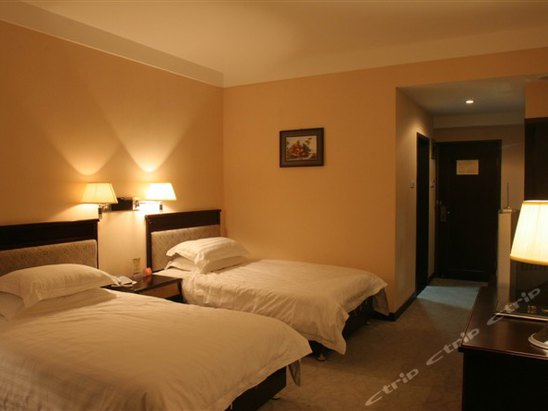 瑞安大酒店建筑风格时