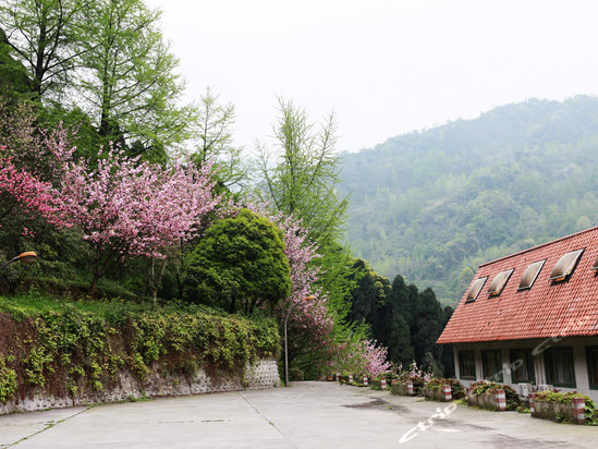 都江堰灵岩山庄是集餐饮,娱乐,住宿,会议为一体的酒店.