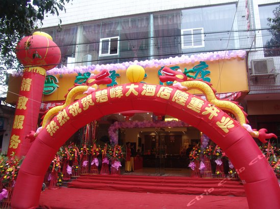 雅安碧峰大酒店