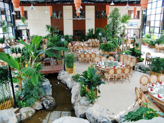 小型生态园餐厅图片图片