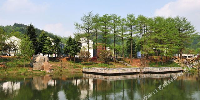 四明山庄森林度假酒店图片