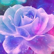 我想10底去青海湖去玩然后再到拉萨,我想问那