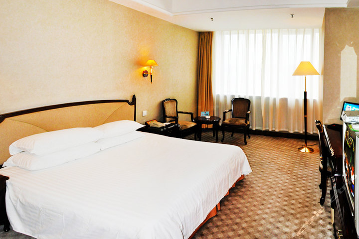 乌鲁木齐银星大酒店图片