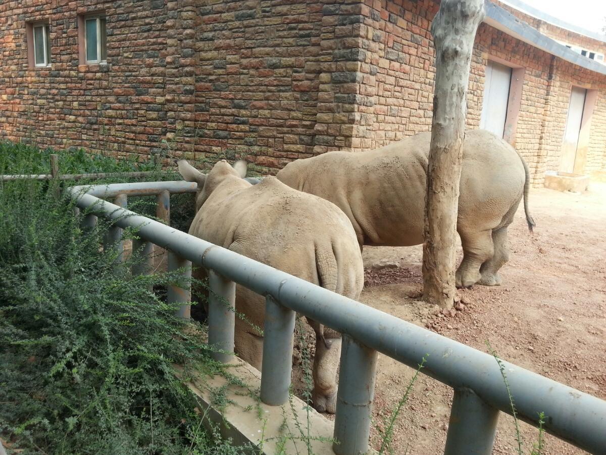 鄭州動物園