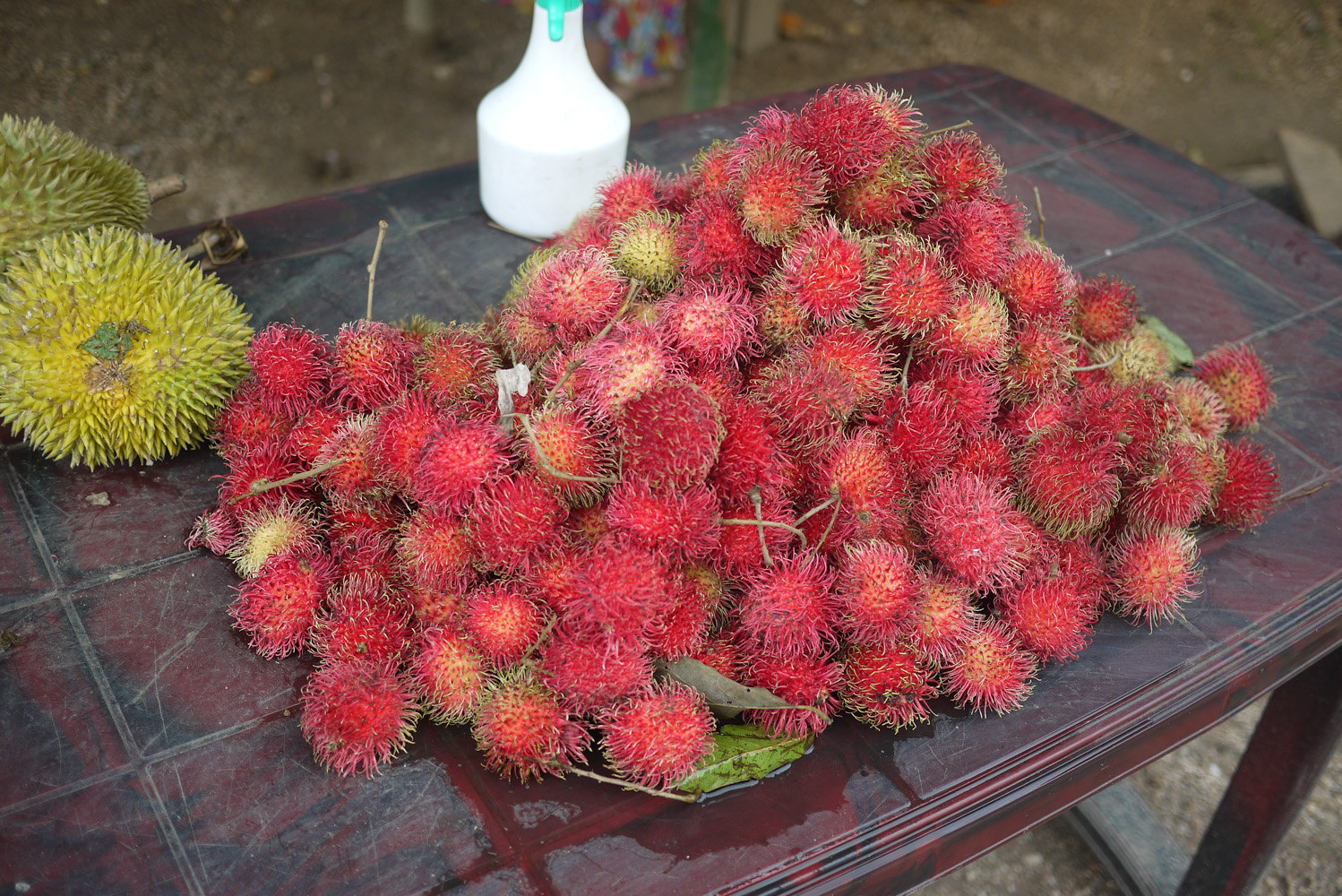 风从印度洋上来——斯里兰卡十日散记(1)