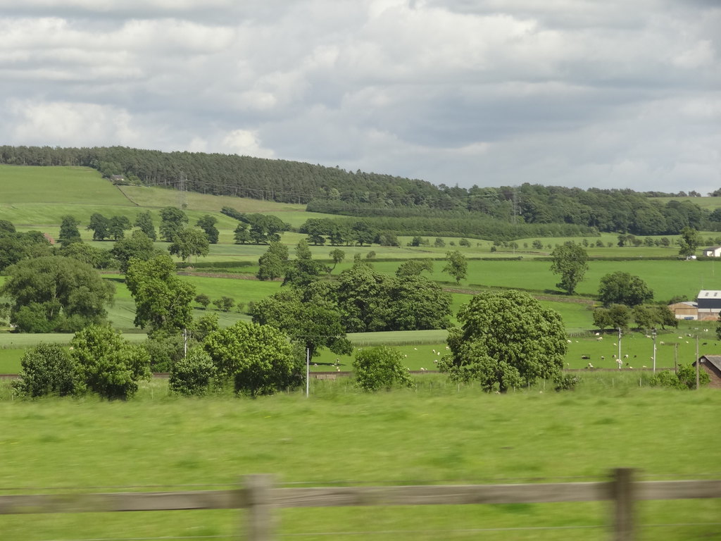 醉美田园——英国文化之旅(三)