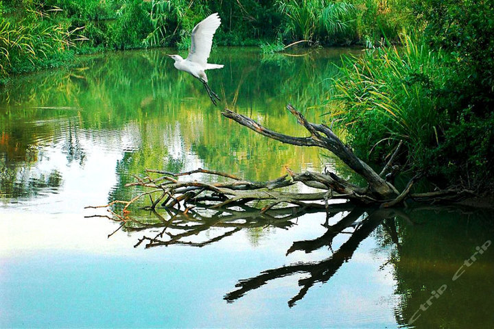 西溪湿地人口_西溪湿地
