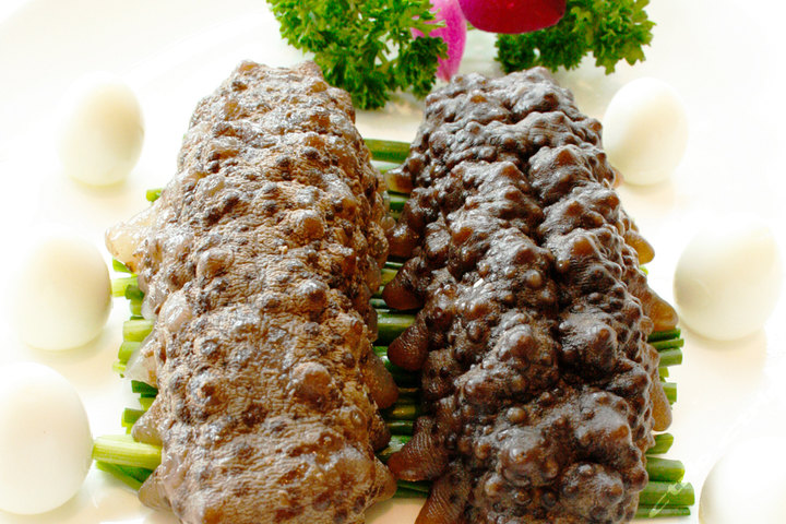 上海东怡大酒店—本帮葱烤黄金参