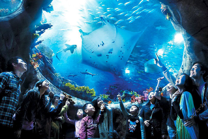 香港海洋公园儿童门票1张-深圳关口取票