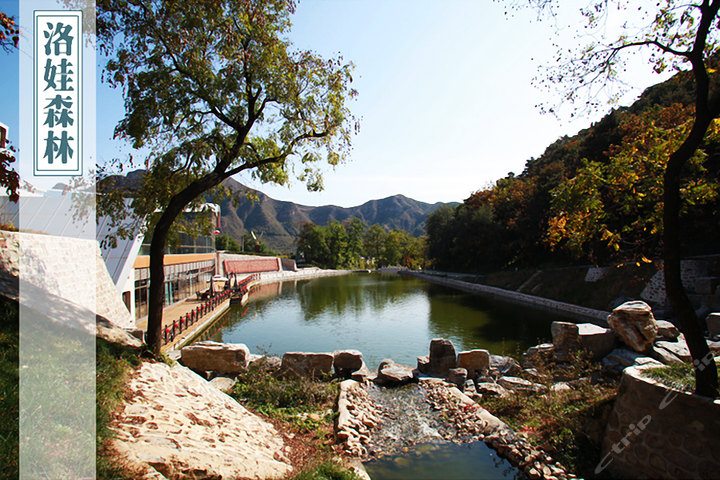 北京金潮玉玛丫髻山森林(豪华间 门票)