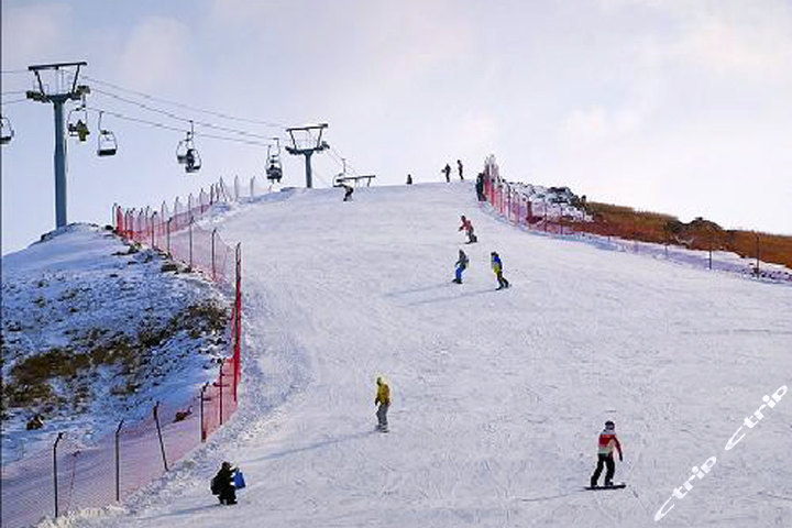 旅游保险滑雪赔偿 旅游保险理赔范围2019年10月14这个就需要是滑雪场