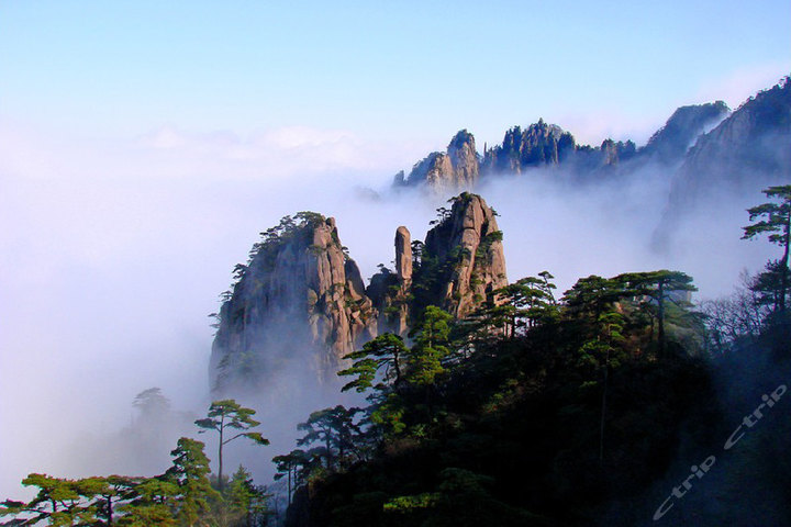 25折 ￥3.71 230512 人已购买 收藏 浪莎精品商务男袜f8801 ￥6.