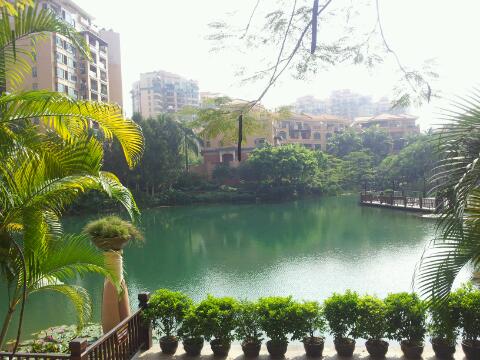 旅游攻略 广东 东莞 > 鸟语林