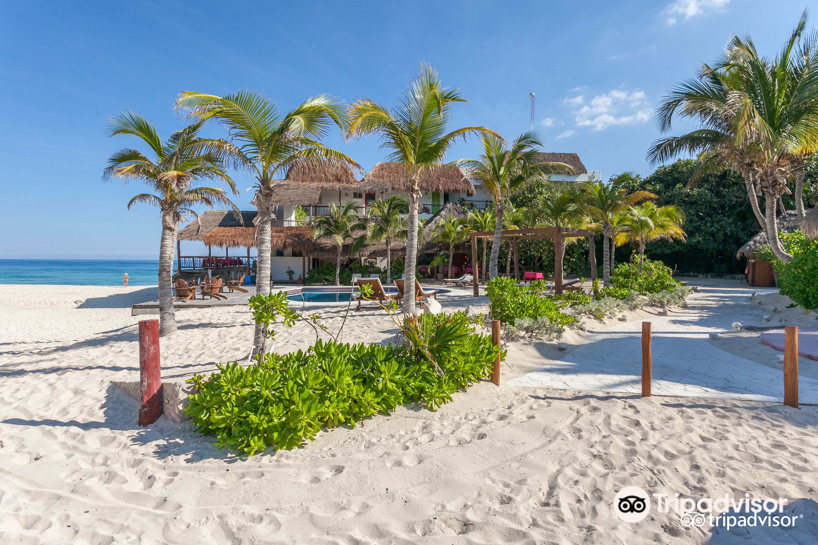 Playa Bonita restaurants, addresses, phone numbers, photos, real user  reviews, East-coast Rd, Cozumel, Mexico, Cozumel restaurant recommendations  