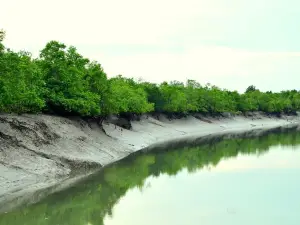 Sunderban Tiger Camp